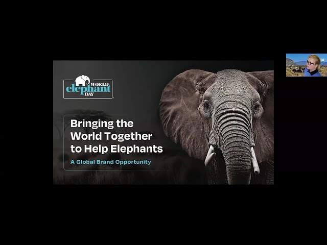 Join us for an inspiring conversation with filmmaker and conservationist Patricia Sims, the founder of World Elephant Day!
Since launching this annual global awareness campaign in 2012, Patricia has dedicated her life to elephant conservation. Through her stunning photography and award-winning documentaries, she showcases the beauty of both Asian and African elephants while highlighting the critical work being done to protect them.
In this special event, Patricia shares stories from her journey—including her recent trip to Kenya—where she witnessed firsthand the lasting impact of World Elephant Day. For over a decade, this movement has united conservation organizations and individuals worldwide to help save these majestic creatures.
🐘 A Happy Hour for the whole family! All ages will enjoy learning about Patricia’s mission to protect elephants, the largest land mammals on Earth.
This ESU Happy Hour is proudly sponsored by the ESU Kansas City Branch.
📢 Don't forget to like, share, and subscribe for more inspiring stories!
#WorldElephantDay #ElephantConservation #PatriciaSims #WildlifePhotography #ESUHappyHour #SaveTheElephants
Visit the World Elephant Day website for more information on how you can help bring the world together to help elephants:
https://worldelephantday.org/
Visit the English Speaking Union here:
https://www.esuus.org/