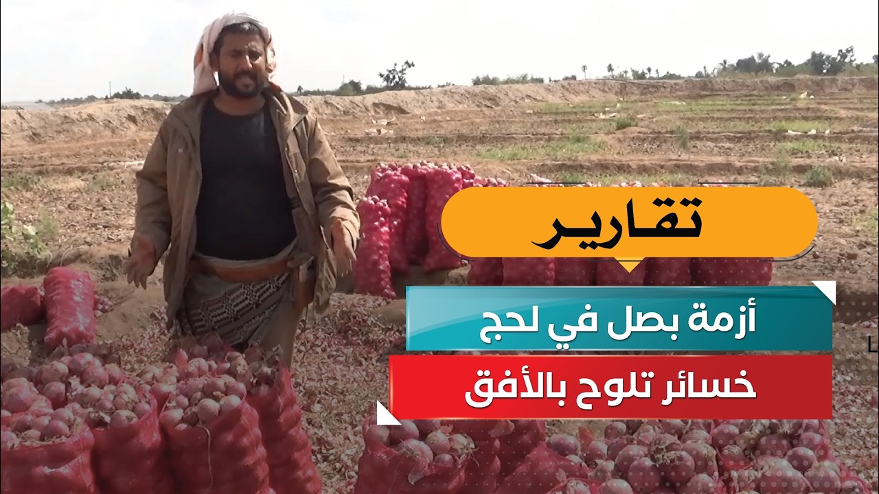 قناة السعيدة