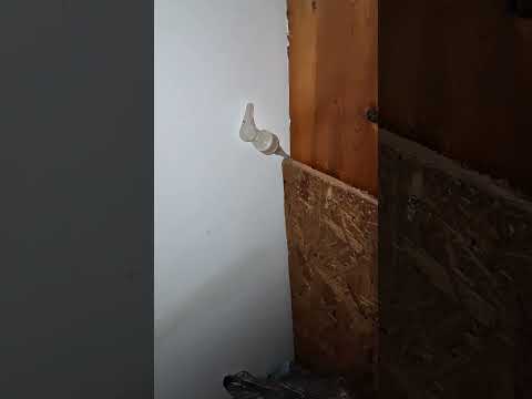 1 in a #million and a #evp at the beginning..