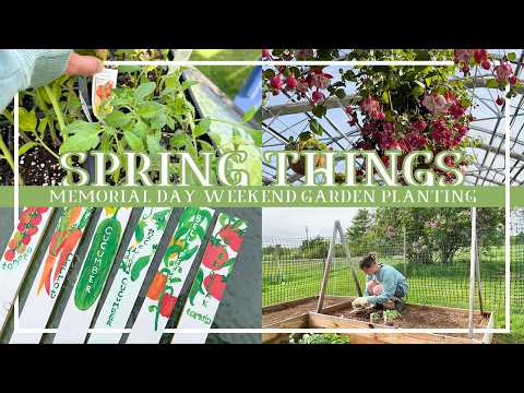 We're off and running! 2026 garden planting | Spring Things 2026