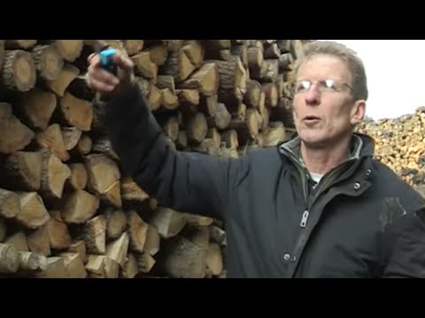 Le gros business du bois