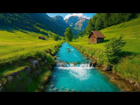 استرخاء وتأمل مع مناظر طبيعية خلابة وأصوات الطبيعة النقية | Calming Nature Sounds