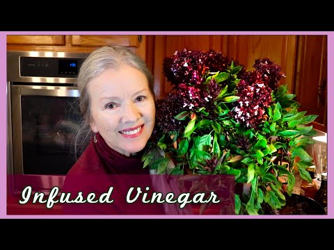 Basil Infused Vinegar | How to make with gorgeous Cardinal Basil!