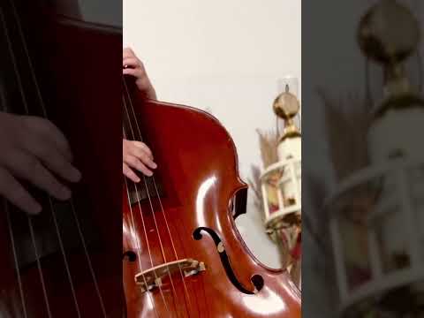 Soyuz 017 Tube on Upright Bass