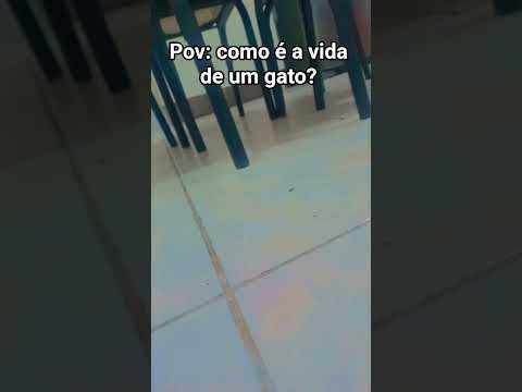 25 de outubro de 2025