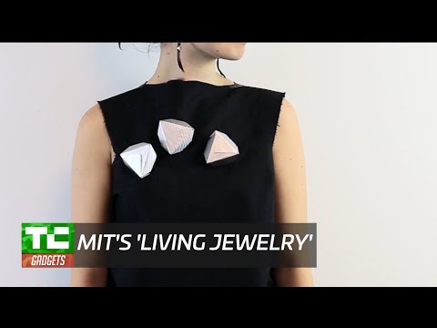 MIT's 'living jewlery' - UCCjyq_K1Xwfg8Lndy7lKMpA