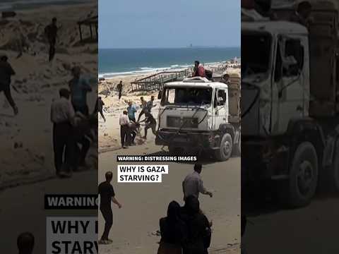 Why is Gaza starving? | AFP #shorts