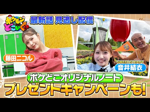 【公式】ポケモンとどこいく！？ 見逃し配信 11/2（日）