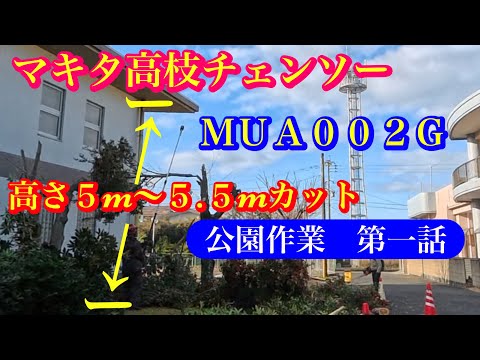 《公園作業 第一話》マキタ高枝チェンソーMUA002Gを使用して高枝をカット作業致しました #竜ちゃんの田舎暮らし