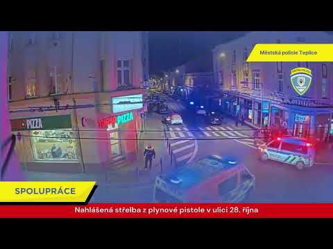 STRÁŽNÍCI A POLICISTÉ ZASAHOVALI U KONFLIKTU V TEPLICÍCH