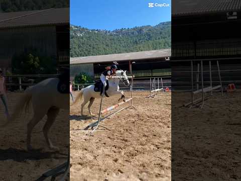 Je l’aime + que bien 🤣❤️✨ #modelecapcut #horse #equestrian #cavalierlife #pony #capcut