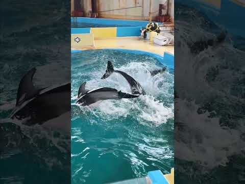 金沢から能登へ行こう!#4