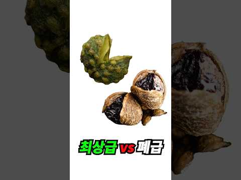 폐급 vs 최상급 <strong>마라탕</strong> 재료로 커피를 내리면? #호기심 #실험 #홈카페