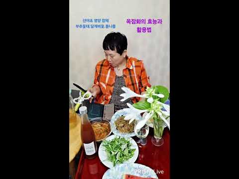 산골맛집김선생 옥잠화꽃차 향기에 취해요 부추꽃대 잡채 <strong>영양</strong> 짱입니다