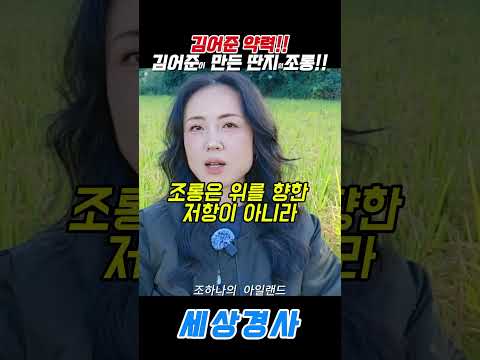 김어준 <strong>약력</strong>!!김어준이 만든 딴지의조롱!! #김어준#조하나 #딴지방송국 #이준석