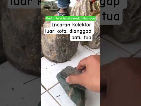 Badar besi hijau dari nusakambangan, diburu kolektor luar kota, batu tua #gems