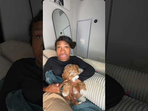 Who ate my cookie?!! #shorts #coco #momsoftiktok #viral #cocojustbeincoco