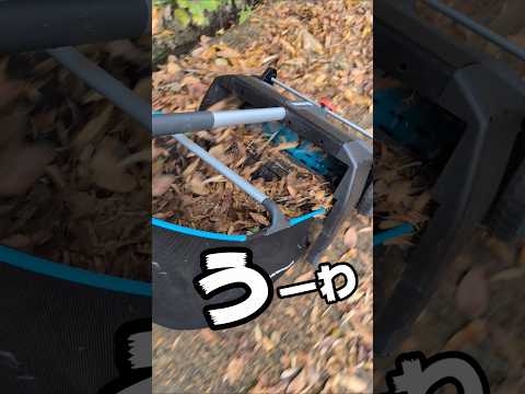 落ち葉が秒で消えるエグイ掃除機