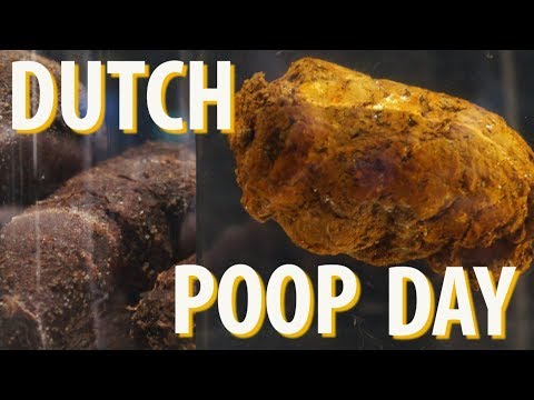 Dutch Poop Day @ Micropia Amsterdam- Know Your Poo photo