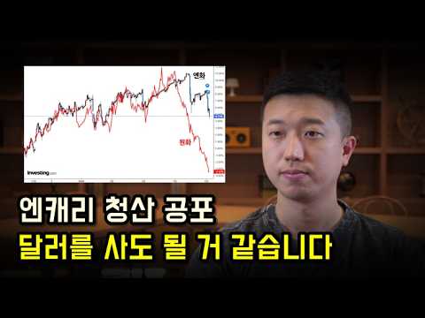 엔캐리 공포와 달러에 대한 생각(ft.환율)