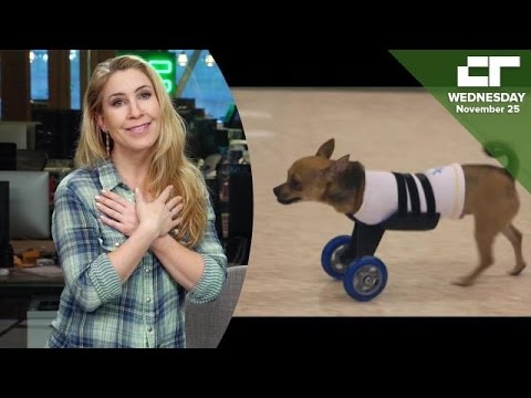 Pawsthetics Is 3D Printed Parts for Pets | Crunch Report - UCCjyq_K1Xwfg8Lndy7lKMpA