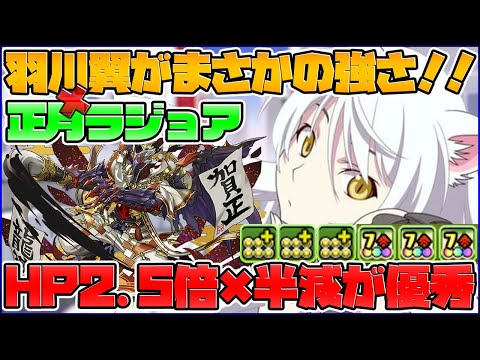 正月ラジョアを救えるのは、羽川翼だけ。【パズドラ】
