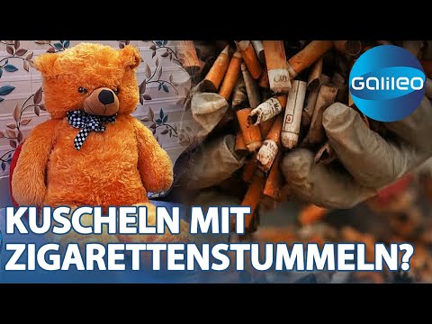 Aus Zigarettenstummeln wird Kuscheltier! Wie werden 3500 Zigaretten zum Teddy? | Galileo | ProSieben