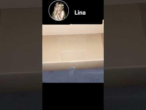 30 أكتوبر 2025