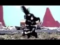 Spotted skunk handstand - Weird Nature - BBC wildlife