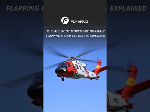 Jeu dans les pales d'hélicoptère RC : Flywing fait le point