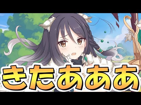 【プリコネR】しおりキタアアアアア、ア、あ…あれぇ！？【プリコネ】