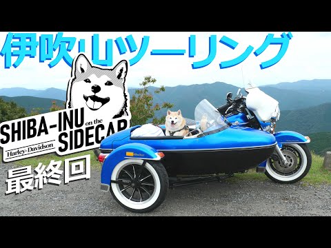 伊吹山ドライブウェイ【サイドカーに柴犬 #139 最終回】Mt. Ibuki Driveway