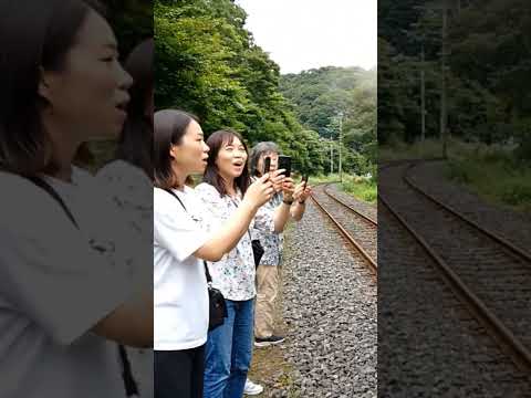 When Thomas Crashes into People... GONE WRONG!