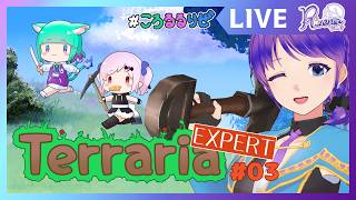 【Terraria】EXPERT 03 ここまで進化した？！1週間でエグい発展をした拠点【個人Vtuber】#Terraria #リゼニライ