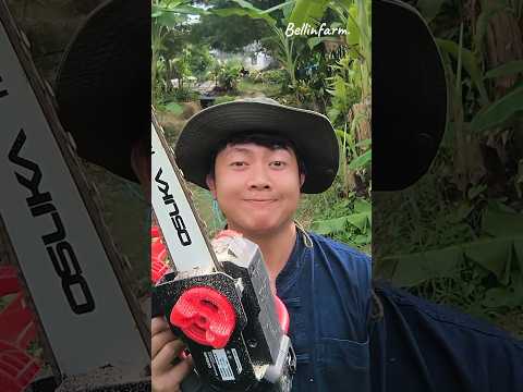เลื่อยตัดไม้ใหญ่ดีๆ ที่คนเริ่มทำสวนควรมีไว้  #เลื่อยโซ่ไร้สายOCCS430 #เลื่อยโซ่osuka #bellinfarm