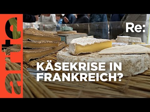 Frankreichs Käsekultur in der Krise | ARTE Re: