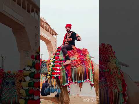 please subscribe❤️❤️🙏#subscribe #channel#jaipur #camel #khatushyam #follow #love #ytshorts #support✨