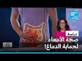 ��� ���� ������� ������ ��� ������ɿ � ����� 24 / FRANCE 24
