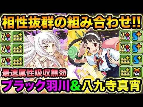 羽川翼と八九寺真宵が相性抜群！40万越えの耐久力にコンボ加算+固定ダメージ！裏列界の化身で使ってみた！物語シリーズ【スー☆パズドラ】