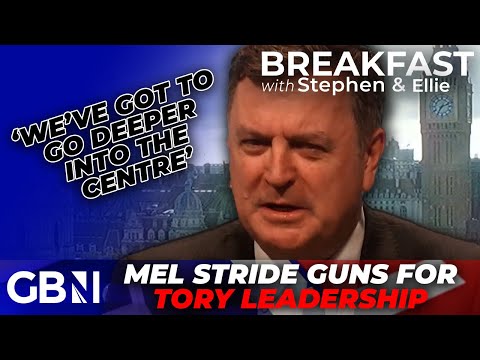 Mel Stride guns for Tory leadership - 'I'm in an EXTREMELY good position to unite the party'