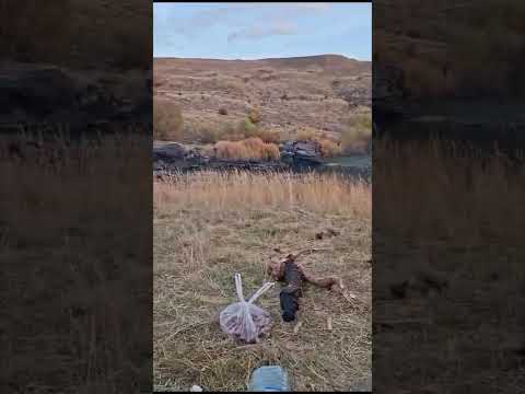 muş bulanık mollakent köyü #xeribım#