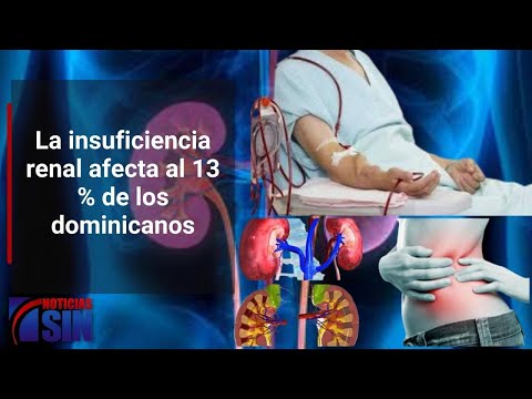 La insuficiencia renal afecta al 13 % de los dominicanos