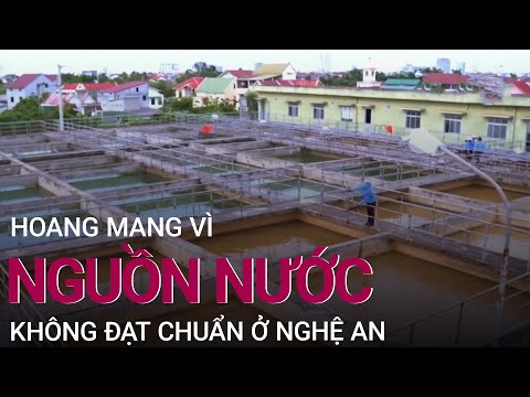 Nghệ An: Người dân hoang mang vì nước sạch nhưng không... sạch | VTC Now