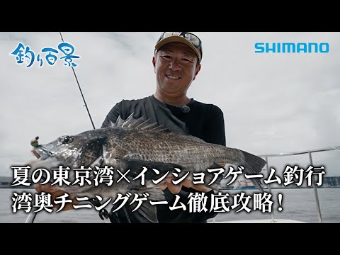 【釣り百景】#596 夏の東京湾 × インショアゲーム釣行 湾奥 チニングゲーム徹底攻略！