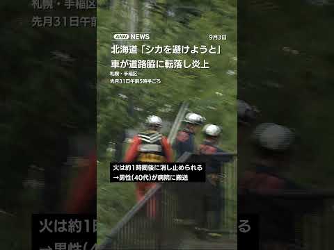 シカ避け走行中に車が道路脇に転落、炎上事故について サムネイル