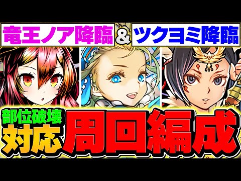 【ガンコラ】竜王ノア降臨&ツクヨミ降臨2パターン周回編成解説！最強無課金を確保！代用解説も！【パズドラ】