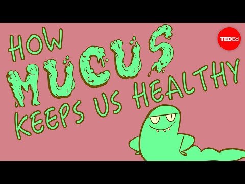 How mucus keeps us healthy - Katharina Ribbeck - UCsooa4yRKGN_zEE8iknghZA
