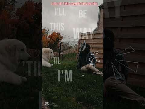 Lil vent :3 #roadto2k #therian #art #furry #vent #therianthropy #therianpride #selfexpression #fyp