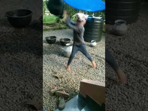 പോലീസും കള്ളനും #Shorts  #comedy #funny #police #robber