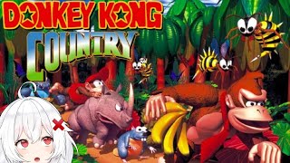 🐒DONKEY KONG COUNTRY - ¿FINAL?【Donkey Kong Country NES】